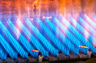 Cauldhame gas fired boilers